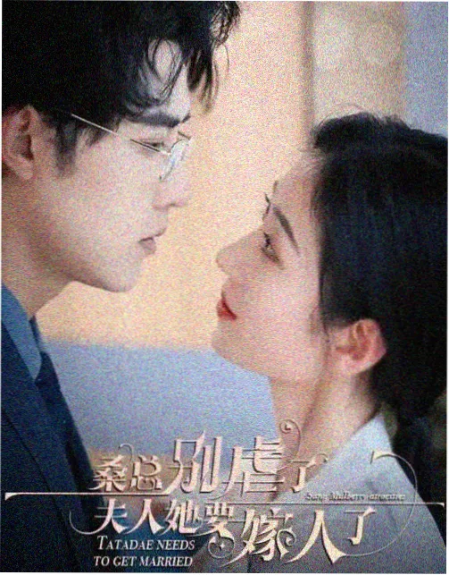 长安秘案录 电视剧 2025